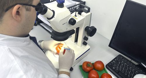 Фото: пресс-служба ФГБУ «ЦОК АПК»